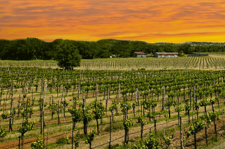 30 Best Places to Visit in Texas - Hill Country Wineries