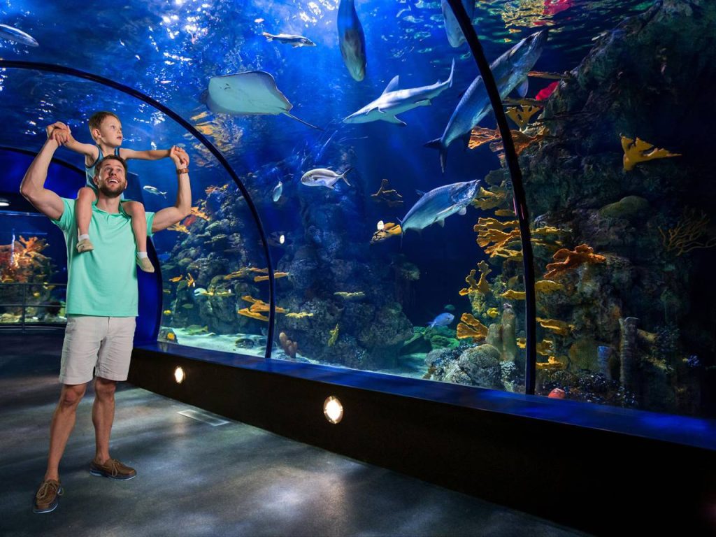 30 Best Places to Visit in Texas - Moody Gardens, Galveston