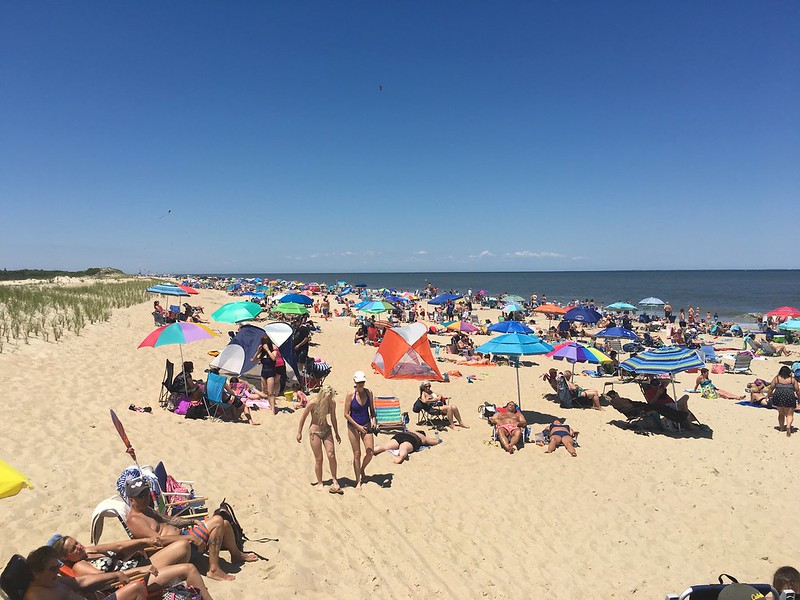 31 Best Places To Visit In Delaware - Cape Henlopen State Park