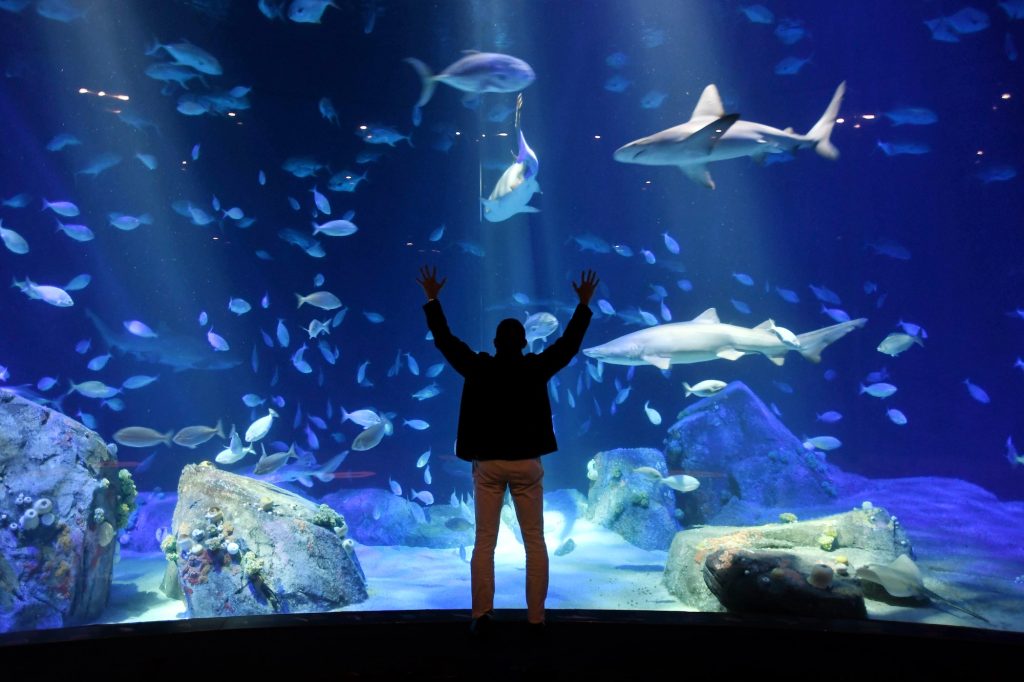 31 Best Places To Visit In Connecticut - The Maritime Aquarium at Norwalk