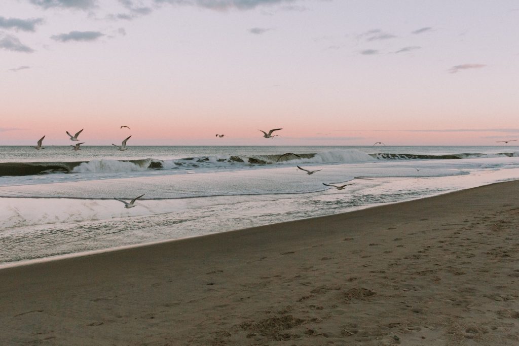 31 Best Places To Visit In Delaware - Rehoboth Beach