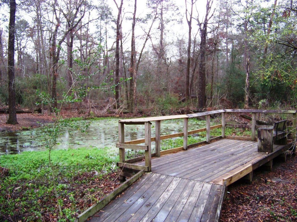 15 best things to do in Houaton- Houston Arboretum & Nature Center