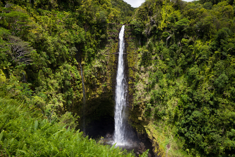 Best Places To Visit In Hawaii - Akaka Falls State Park