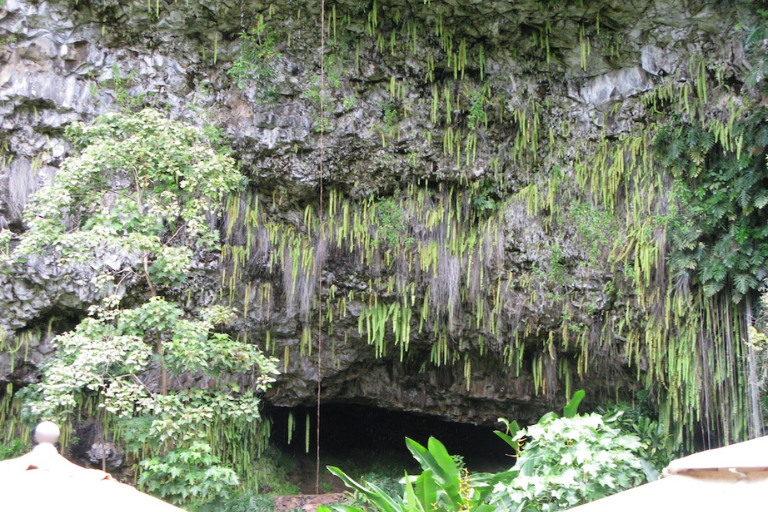 Best Places To Visit In Hawaii - Fern Grotto