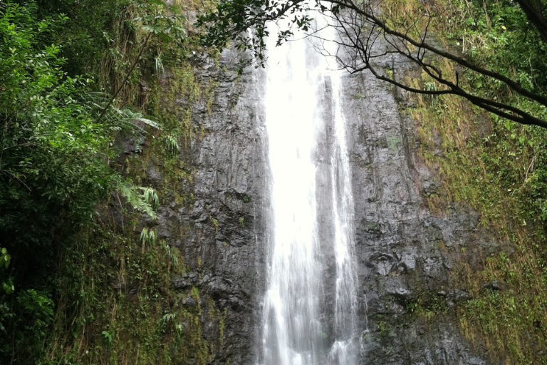 Best Places To Visit In Hawaii - Manoa Falls
