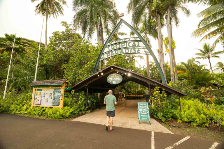Best Places To Visit In Hawaii - Smith's Tropical Paradise