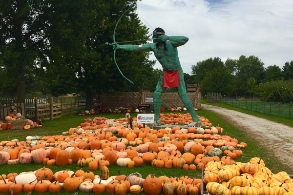 Best Places To Visit In Illinois - Curtis Orchard & Pumpkin Patch
