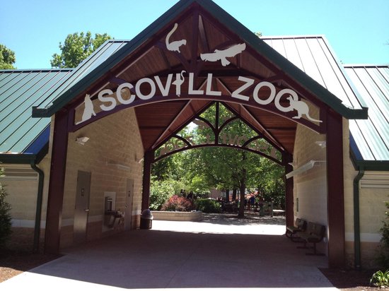 Best Places To Visit In Illinois - Scovill Zoo