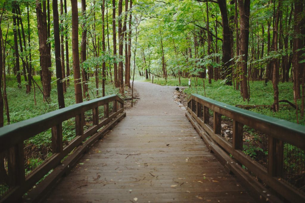 Best Places To Visit In Indiana - Ritchey Woods Nature Preserve